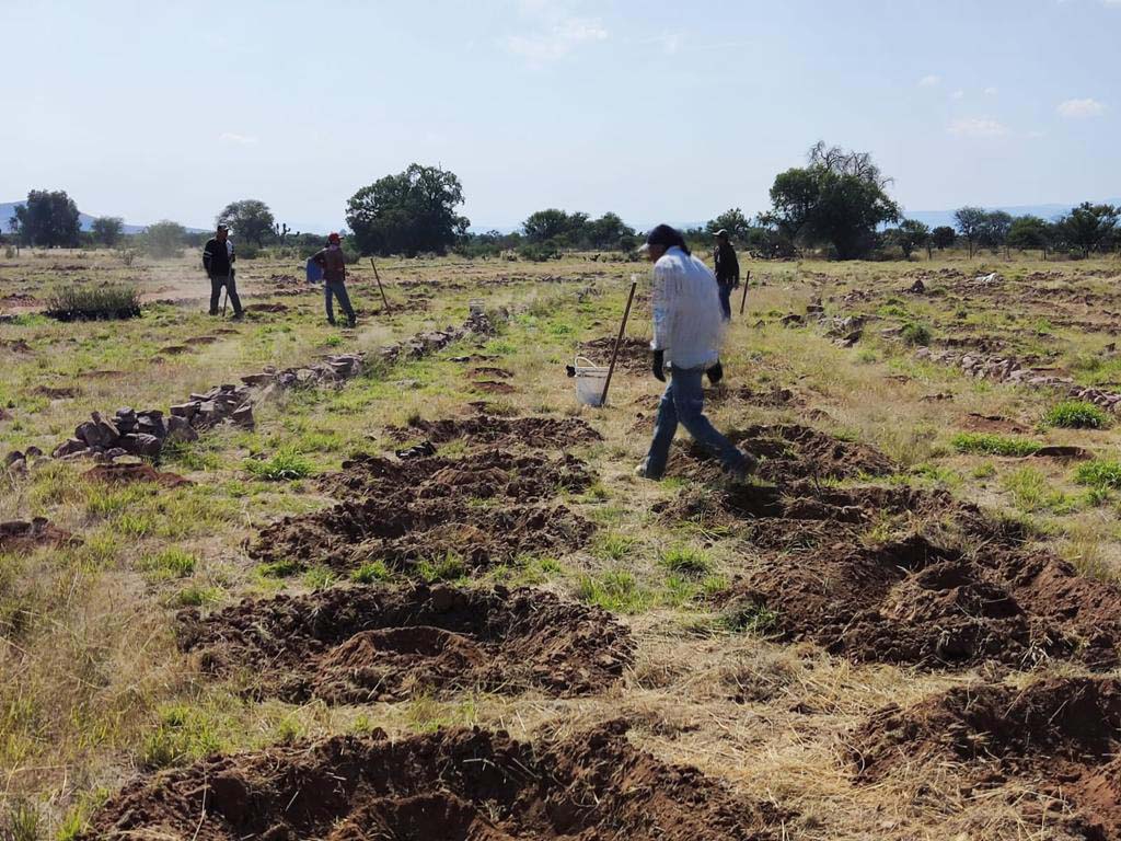 PRAMSEI: Proyectos ambientales en etapas constructivas y operativas (63)